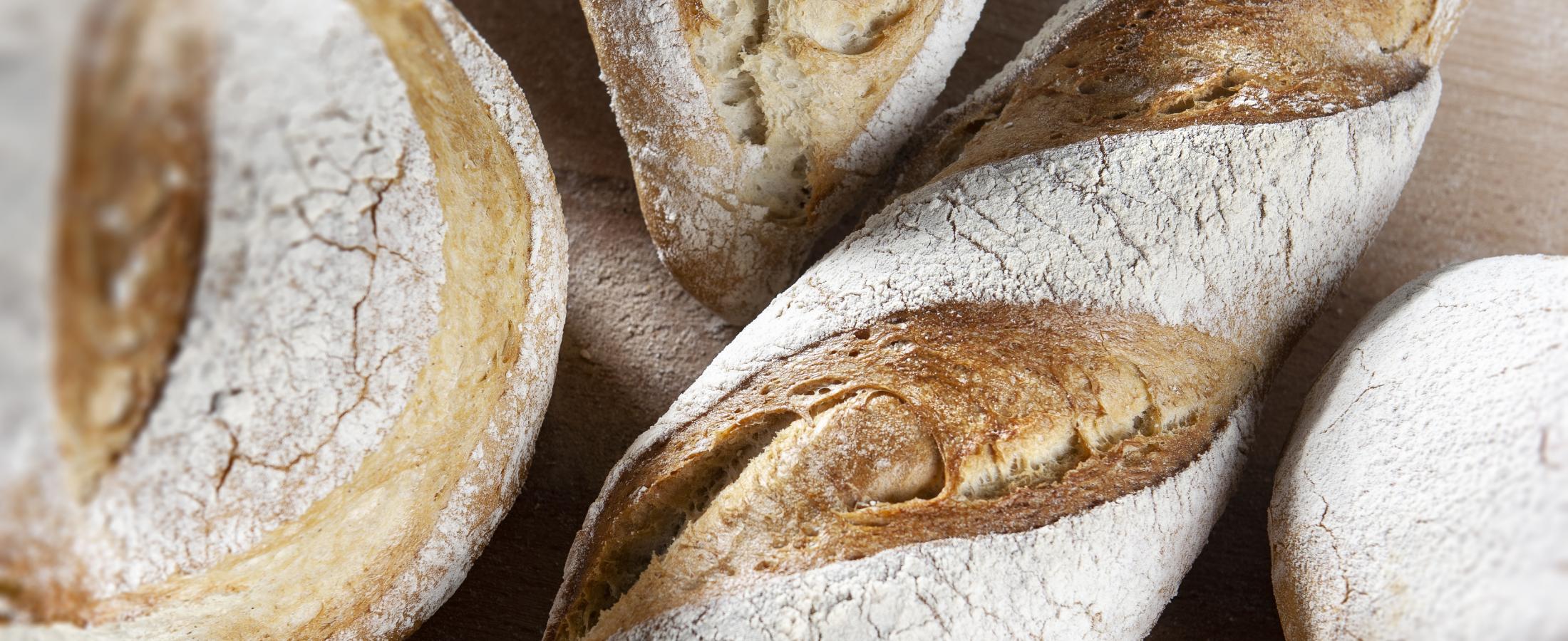 bread improver technology