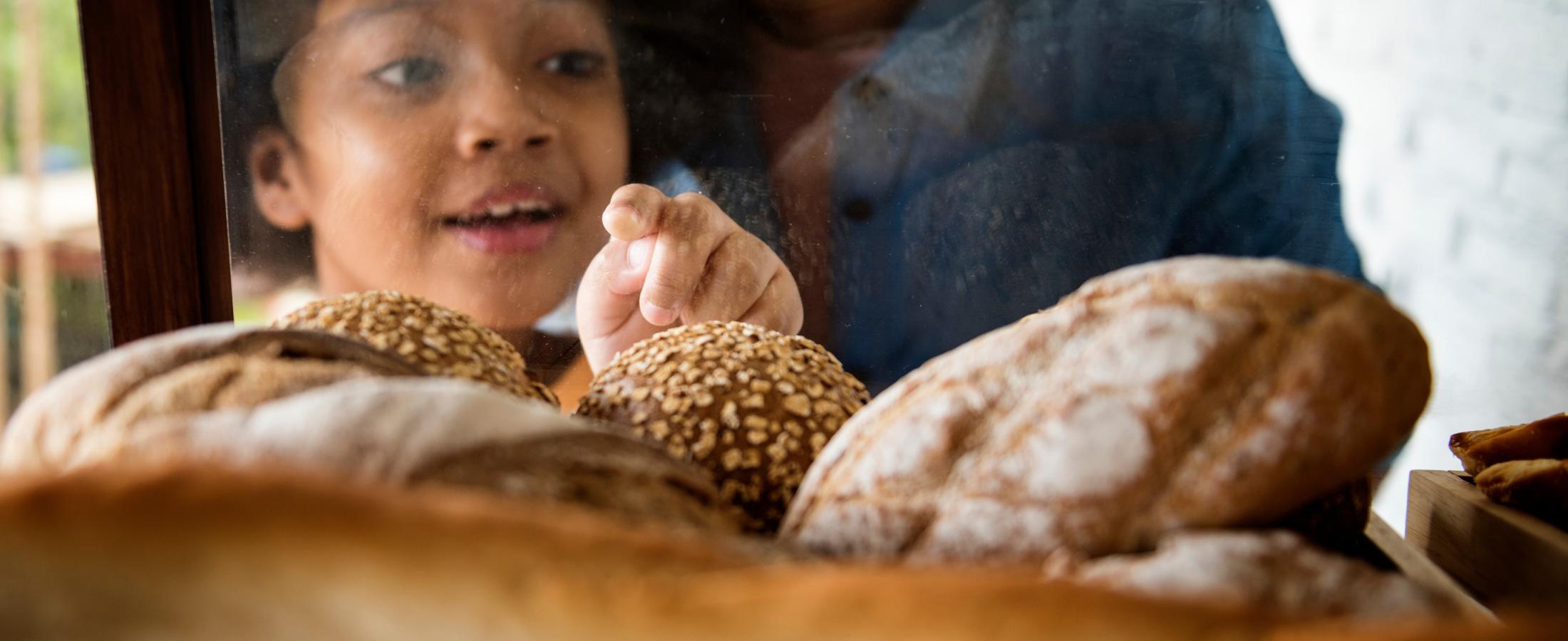 explore the world of bakery