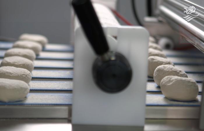 bread rolls production