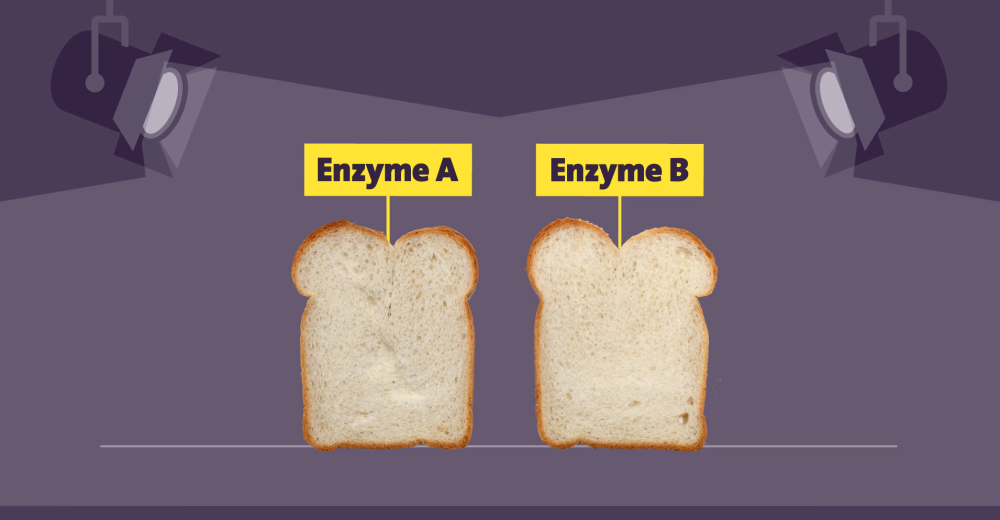 enzyme mapping video illustration